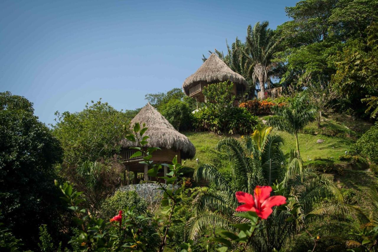 Villa Ecohabs - Bosques Del Tayrona Jordan  Exterior foto