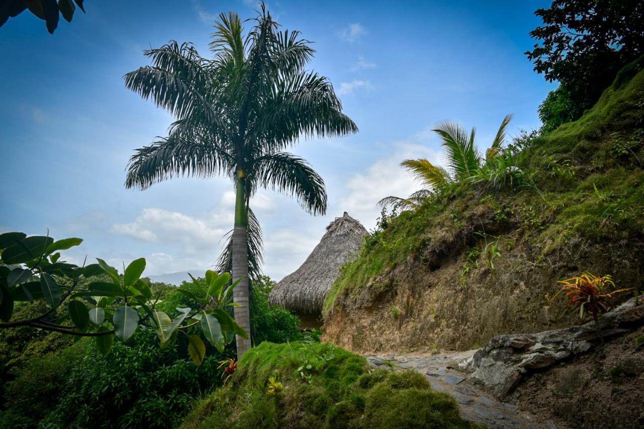 Villa Ecohabs - Bosques Del Tayrona Jordan  Exterior foto