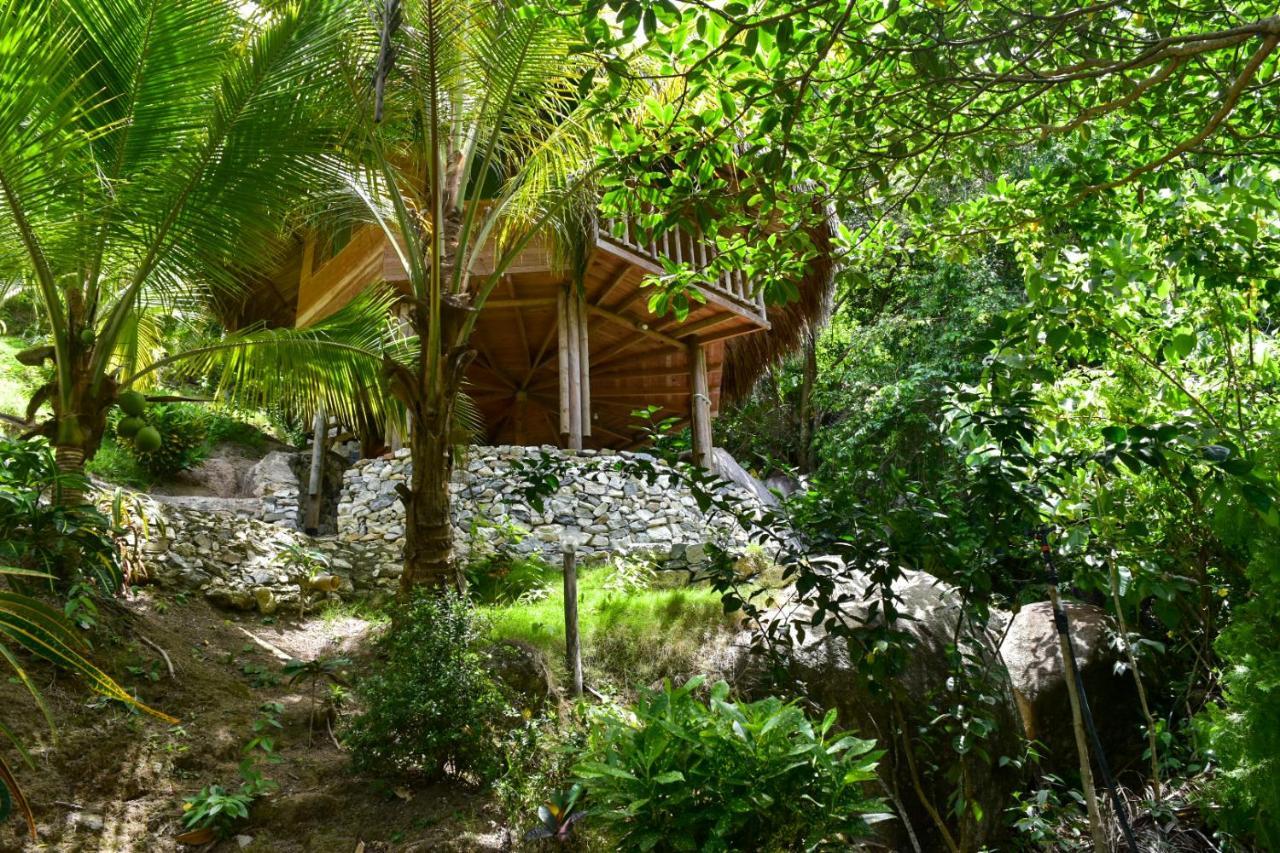 Villa Ecohabs - Bosques Del Tayrona Jordan  Exterior foto