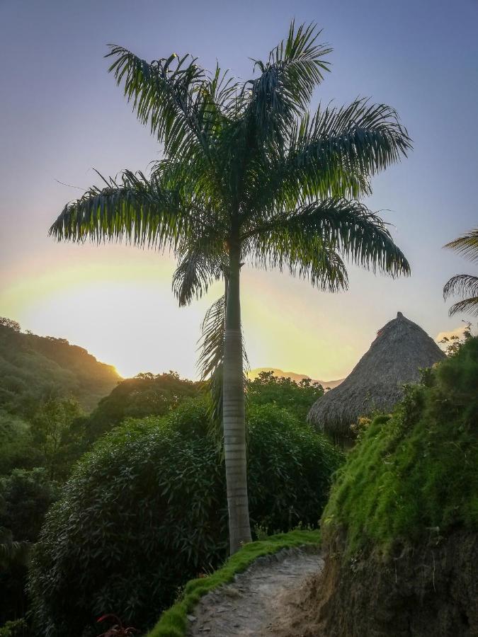 Villa Ecohabs - Bosques Del Tayrona Jordan  Exterior foto