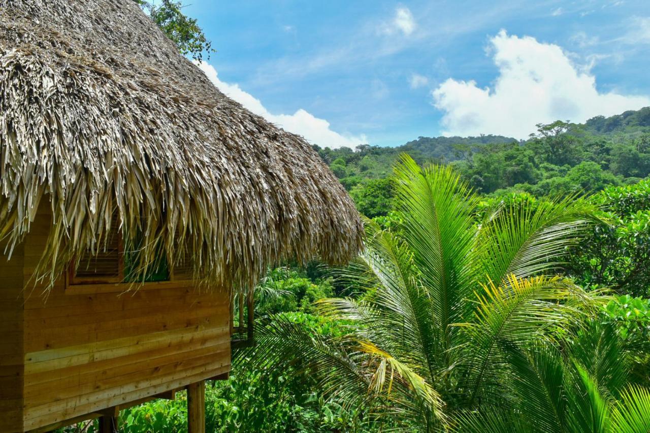 Villa Ecohabs - Bosques Del Tayrona Jordan  Exterior foto